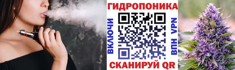 Купить наркотик аптеки Жуковский Бошки Шишки  Cocaine  KRAKEN ТОР  Меф мяу мяу  АМФ 