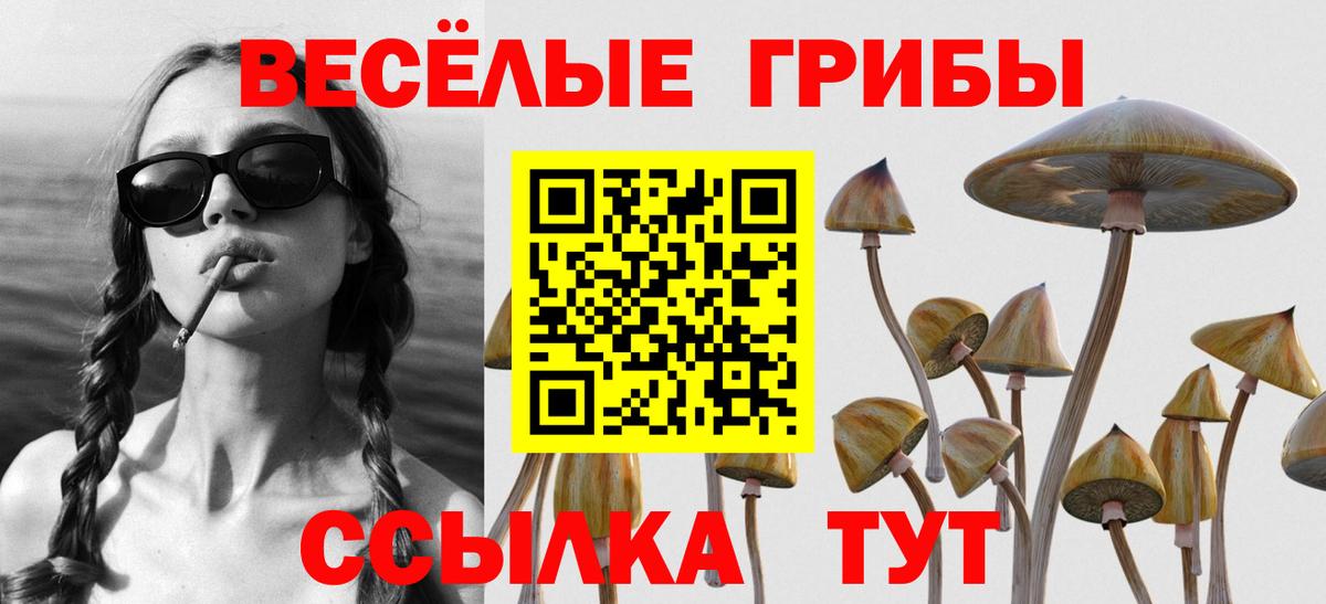 Галлюциногенные грибы Psilocybine cubensis Жуковский